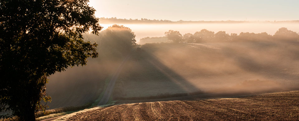 freres_saint_jean_chemin3 Un chemin