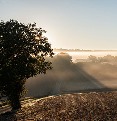 Prévention et lutte contre les abus - Frères de Saint-Jean