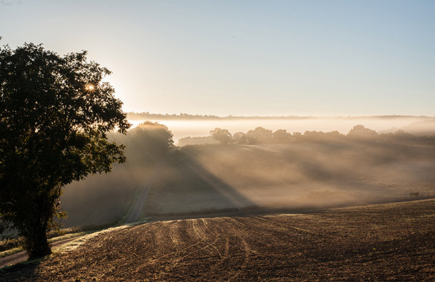 freres_saint_jean_chemin_632x410 Prévention et lutte contre les abus - Frères de Saint-Jean