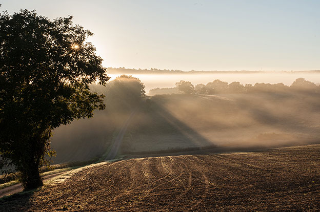 Prévention et lutte contre les abus - Frères de Saint-Jean