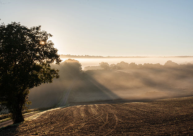 Prévention et lutte contre les abus - Frères de Saint-Jean