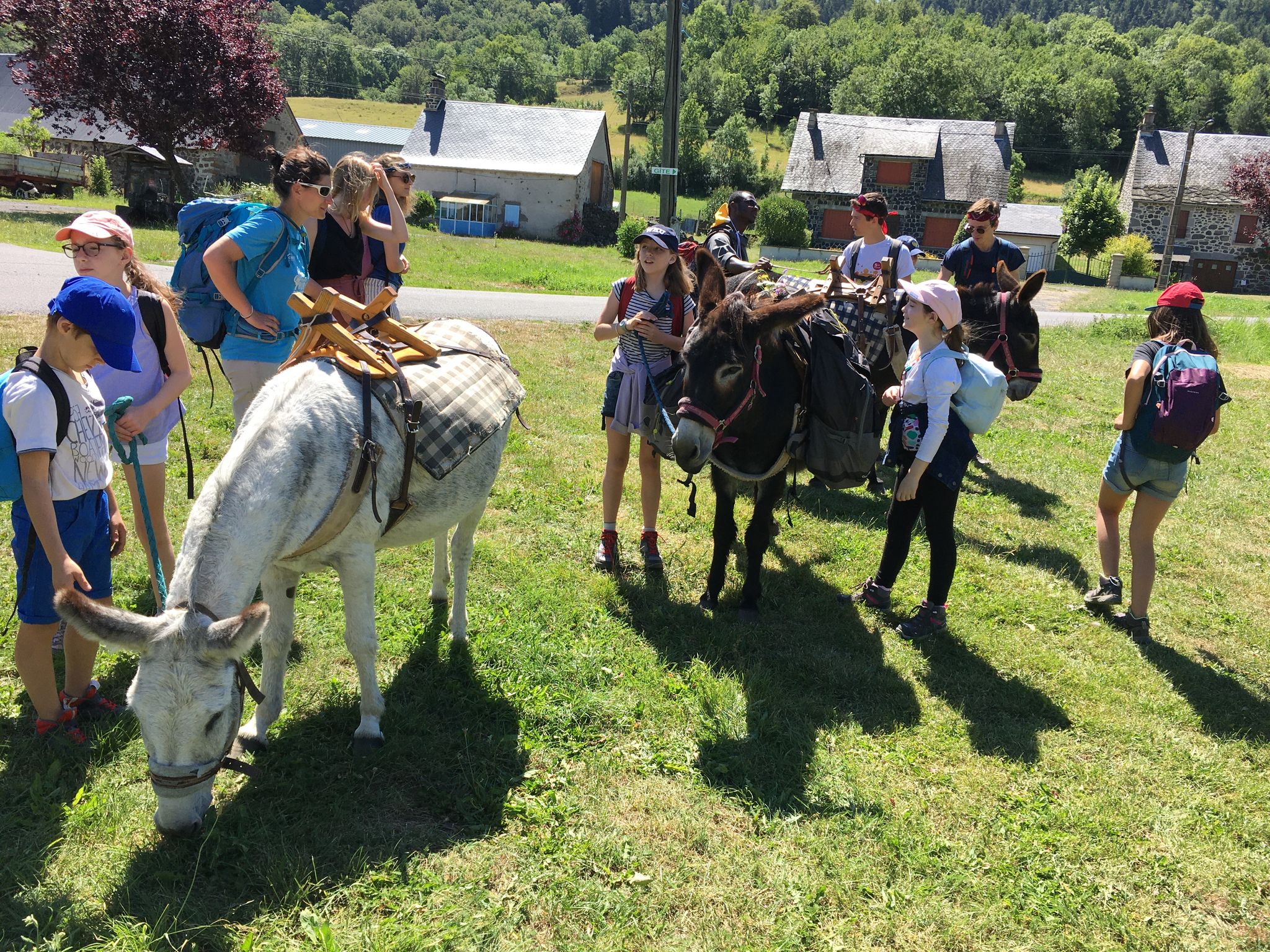 frères-saint-jean-murat-camp-petit-ane-gris