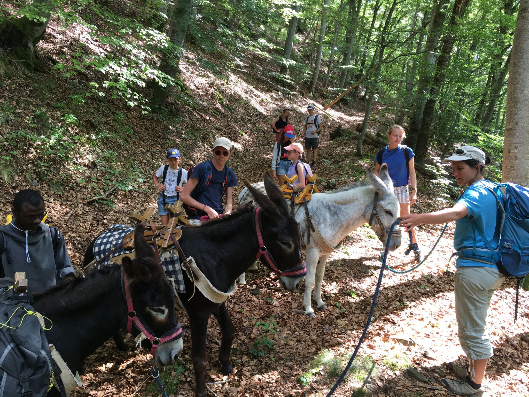frères-saint-jean-murat-camp-petit-ane-gris