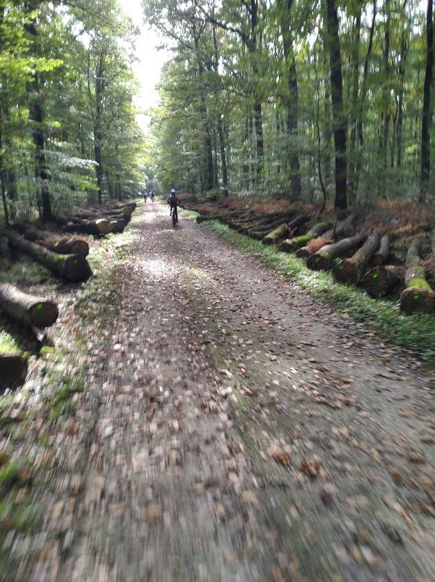 Camp X plore 1 Camp X plore 1