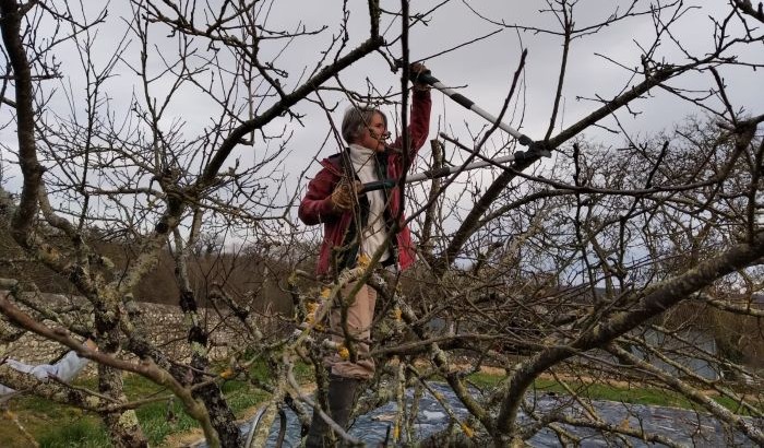 20250308_WE jardinage (10a)