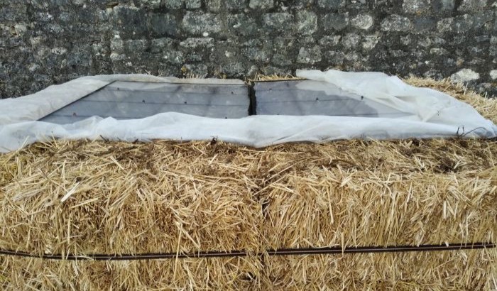 20250308_WE jardinage (13a)