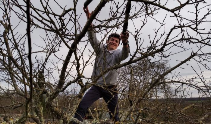 20250308_WE jardinage (2a)