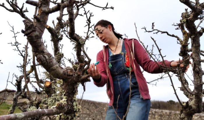 20250308_WE jardinage (3a)