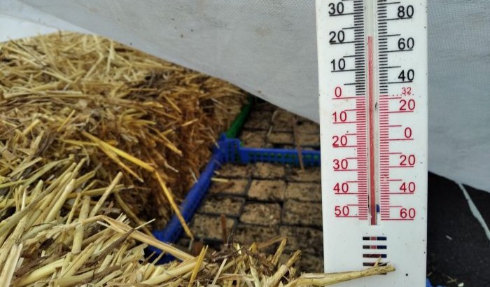 20250308_WE jardinage (4a)