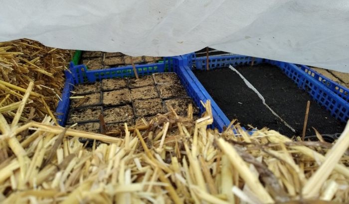 20250308_WE jardinage (5a)