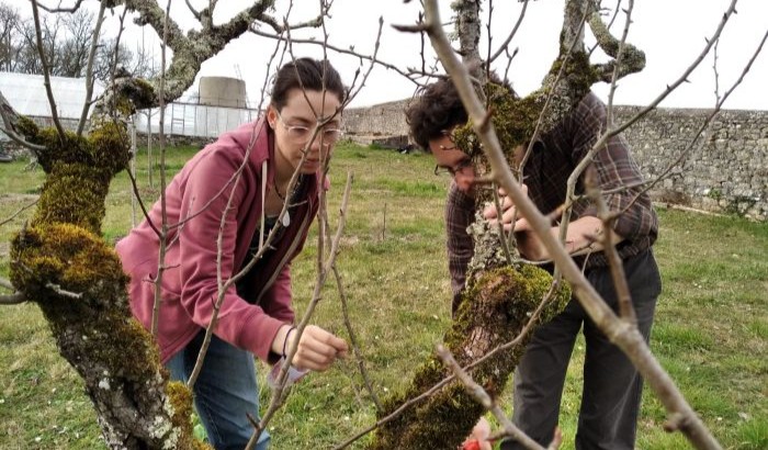 20250308_WE jardinage (6a)