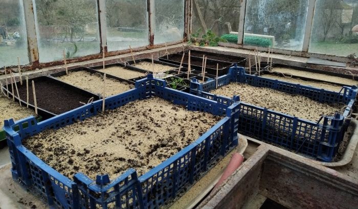 20250308_WE jardinage (9a)