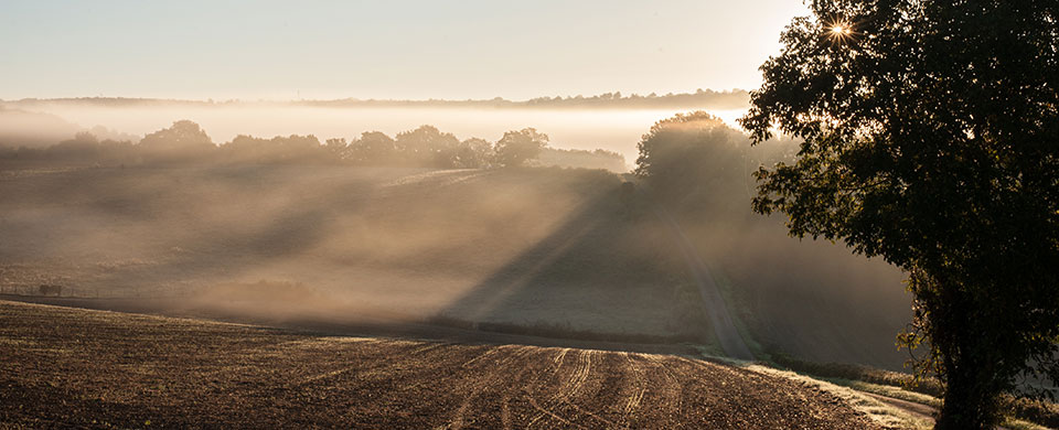freres_saint_jean_chemin Un chemin