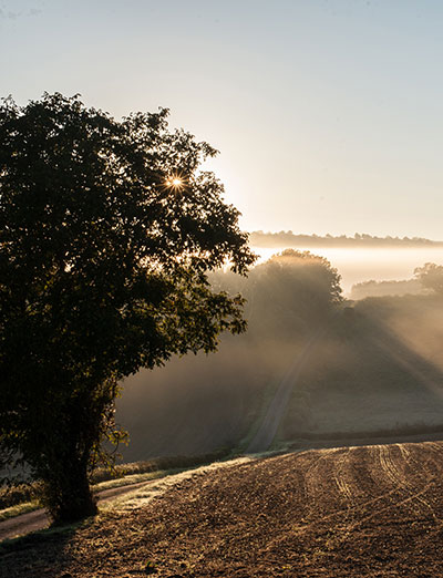 Prevention and fight against abuse - Brothers of Saint John