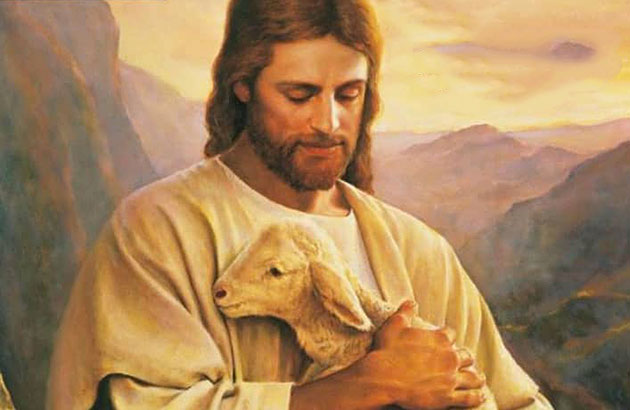 Professions and taking of the habit - Province Africa.